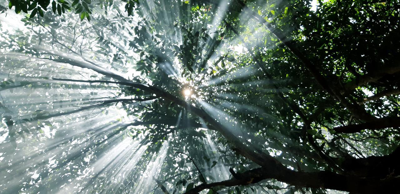 Хостел Jungle Republic Ронгсанлем Экстерьер фото